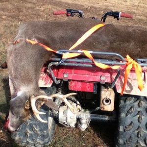 Meet your Posher, Jayden